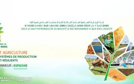 Este é o número de empresas francesas presentes na feira agrícola em Meknis