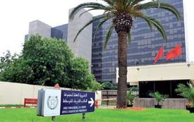 الOCP تطلق فرعها الجديد  "OCP Nutricrops"