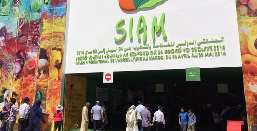 Il Brasile partecipa alla 16a sessione dell’Esposizione Internazionale dell’Agricoltura “Siam 2024”