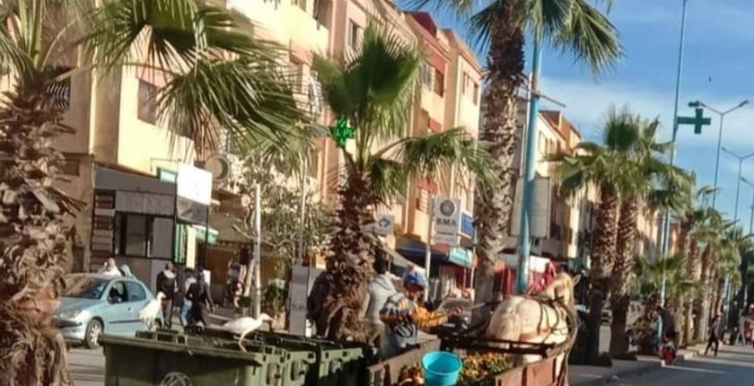 هل فشل مسؤولو البيضاء في محاربة العربات المجرورة؟