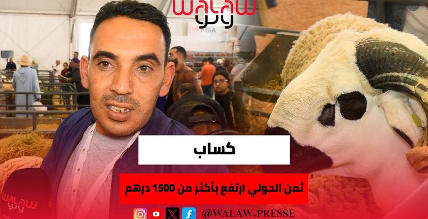 ثمن الحولي إرتفع بأكثر من 1500 درهم