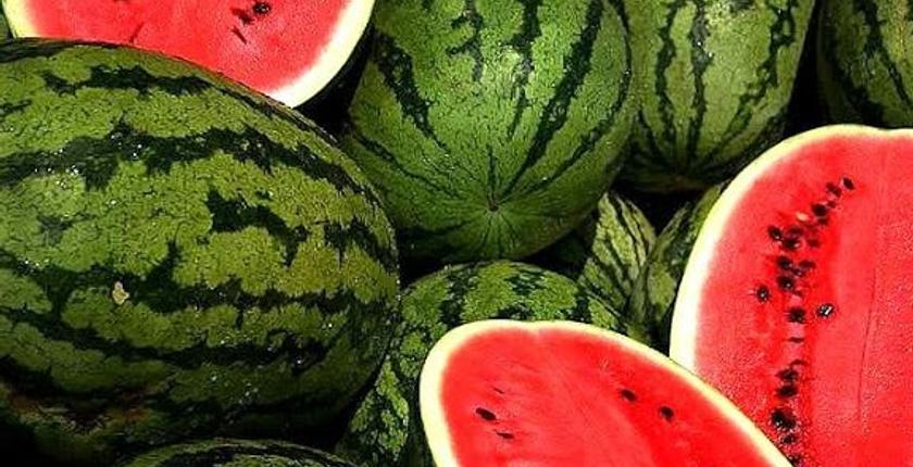 “الدلاح” يخلق رواجا اقتصاديا في زاكورة رغم قرار تقنين زراعته