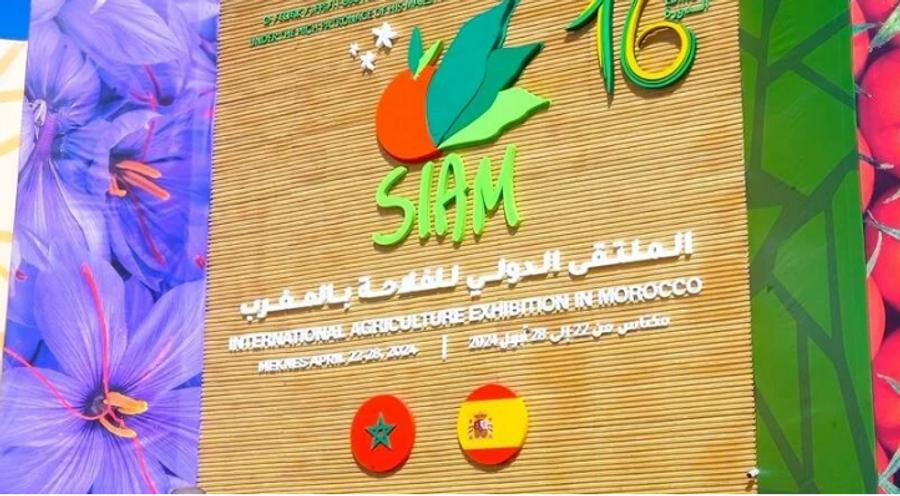Fas'ta 16'ncı uluslararası tarım fuarı Türkiye'nin katılımıyla açılıyor