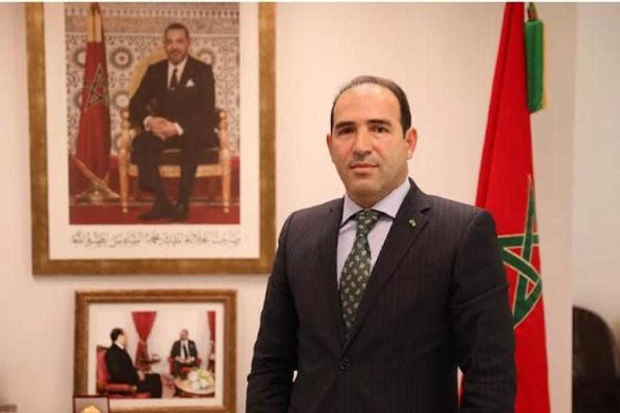 Mediatore del Regno Alto vicepresidente dell'Istituto Ambodesman