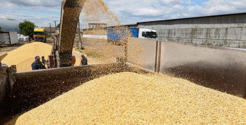 ارتفاع فاتورة استيراد القمح بالمغرب بـ8% خلال الشهرين الأولين من 2024