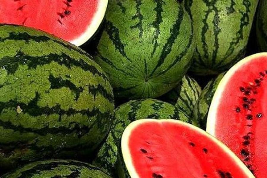 报告：摩洛哥"装甲"成本低减少西班牙供应