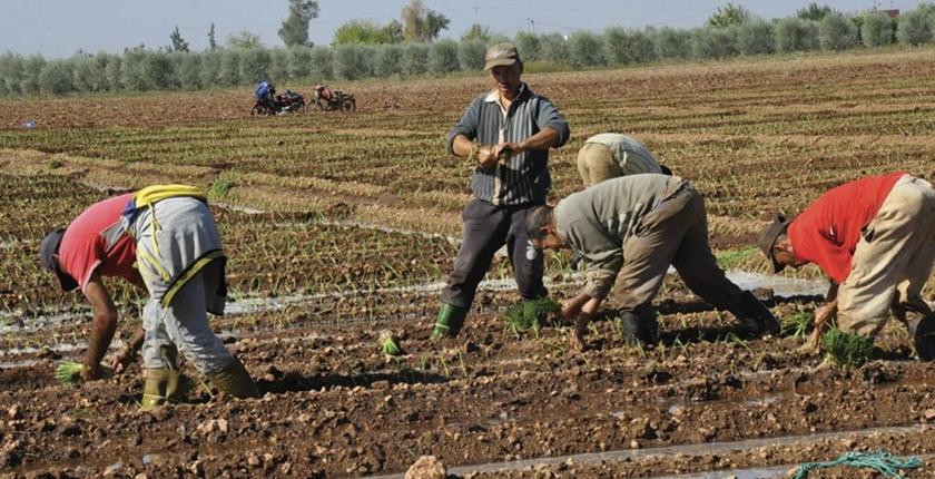 حملة واسعة لاستفادة الفلاحين من التأمين الإجباري عن المرض