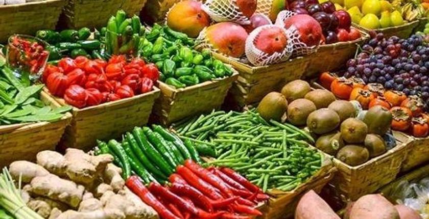 摩洛哥蔬菜出口收入持续上升