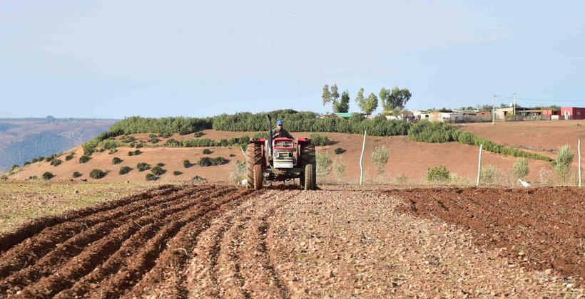 نقابة تطالب الحكومة بتخصيص دعم مالي لمواجهة آثار الجفاف