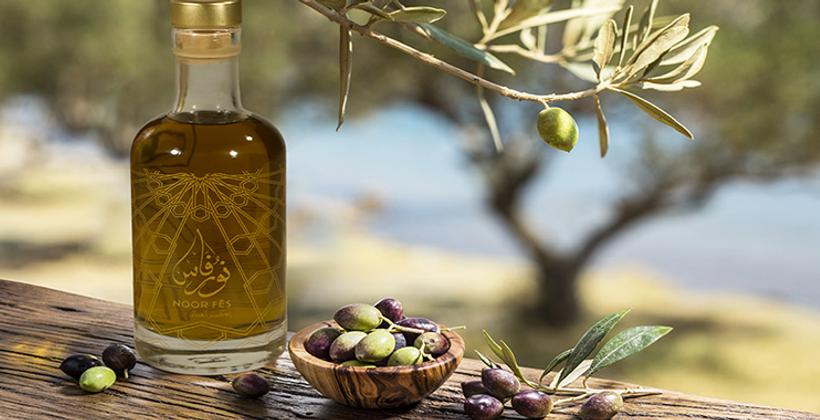البيشولين المغربي : زيت زيتون استثنائي يغزو العالم