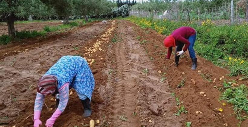توقيع اتفاقية إطار لتعزيز أوضاع المرأة العاملة في القطاع غير المهيكل بالمغرب