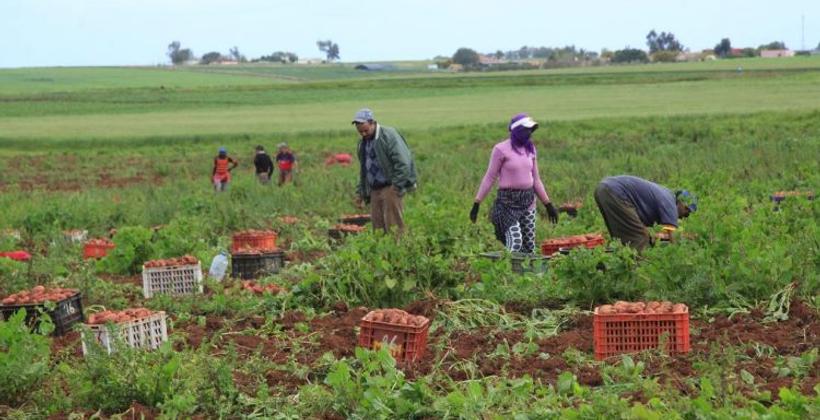 التساقطات المطرية تنعش آمال الفلاحين