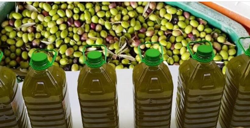 بعد "الفريز".. حملة إسبانية ضد زيت الزيتون المغربي 