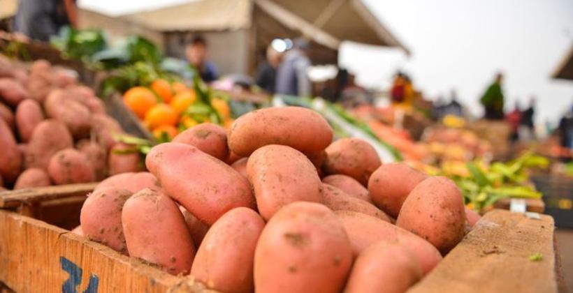 مصدرو الخضر يطالبون برفع الحظر على التصدير