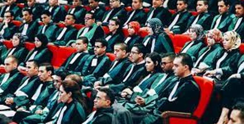 اليوم الدولي للقاضيات.. المساواة دعما للعدالة