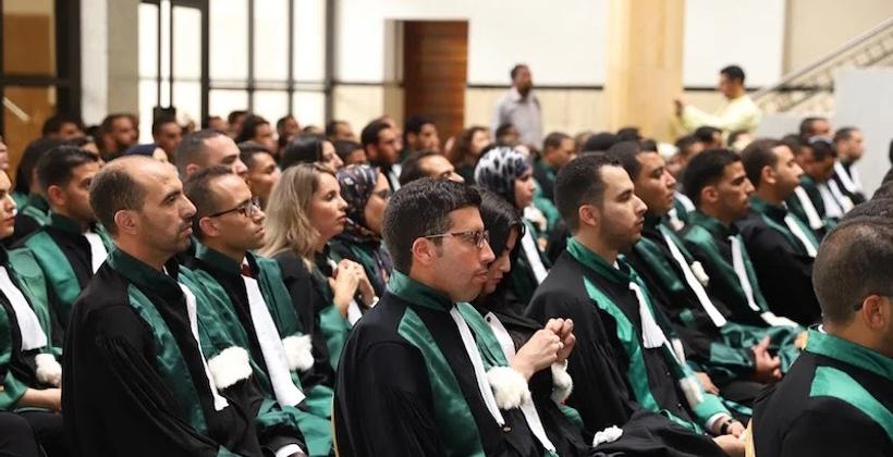 غضب القضاة يتفجر في وجه صناع المحتوى بسبب حملات الإساءة
