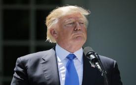 Bloomberg: Многие чиновники по всему миру спешат восстановить отношения с Трампом