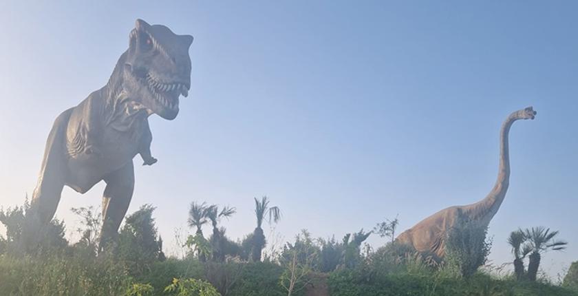 Meknes lancia il suo “Coco park”, la più grande area di attrazione del Marocco