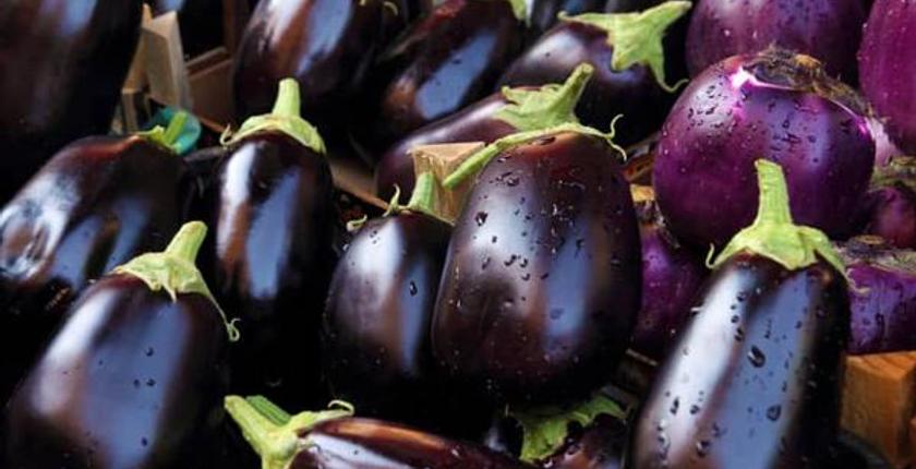Mauretanien Erste Destination von Marokko Aubergine