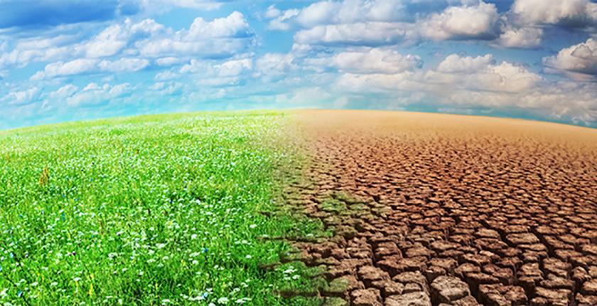 Di fronte al cambiamento climatico, il Marocco punta su soluzioni innovative