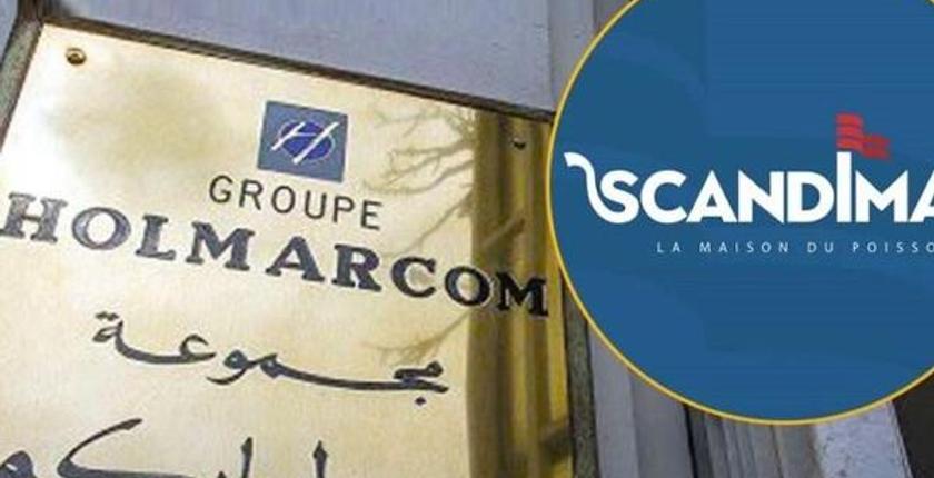 Holmarcom приобретает большинство в Scandimar