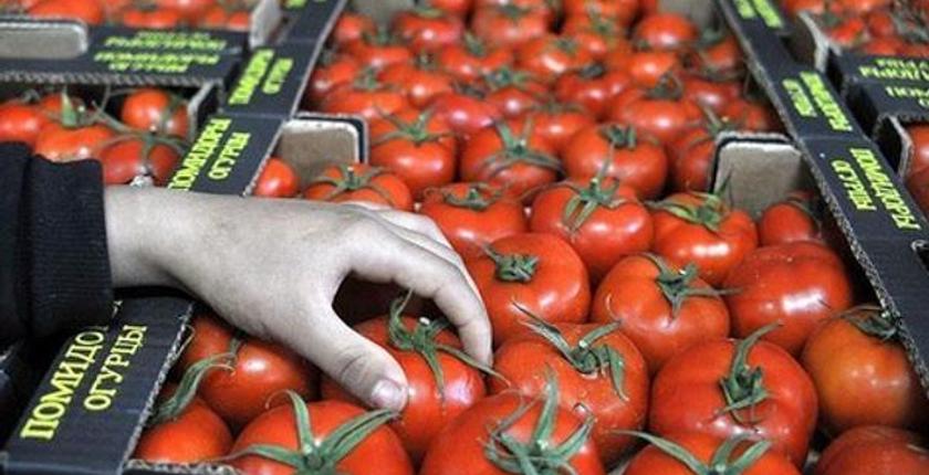 Marokko entspricht Spanien beim Export von Tomaten