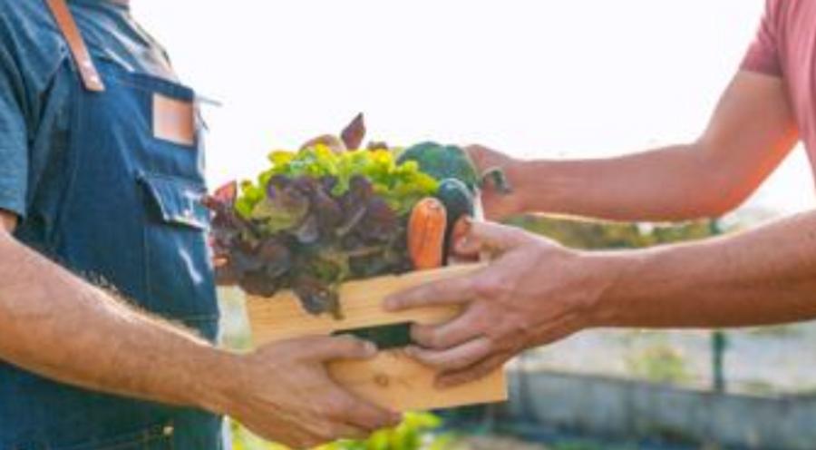 Siccità al Sud, maltempo al Nord: agricoltori nei guai