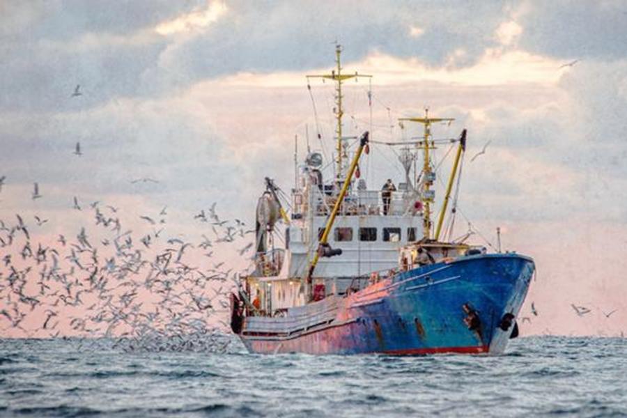 Una missione russa per valutare le risorse marine in Marocco
