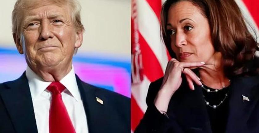 Харрис и Трамп в TikTok поборются за пост президента Белого дома