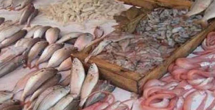 مراکش جزو اولین کشورهای آفریقایی است که منابع دریایی را صادر می کند