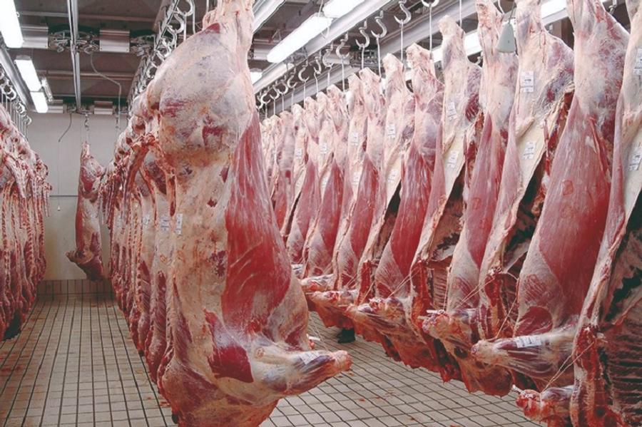 Le ministère de l’agriculture mobilisé pour sauver le secteur de la viande rouge
