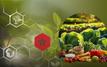 Morocco’s Agricultural Diplomacy: Navigating Climate Challenges and Global Trade