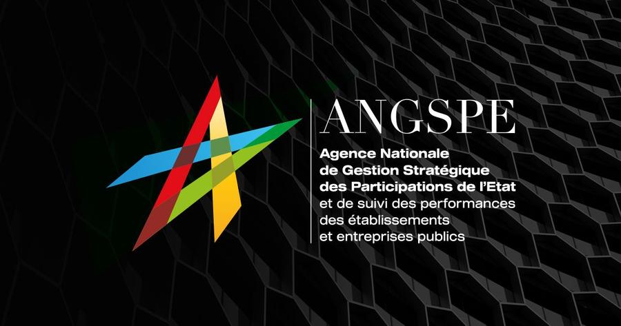  L'ANGSPE lance une stratégie ambitieuse pour intégrer la RSE dans la gestion de ses participations publiques
