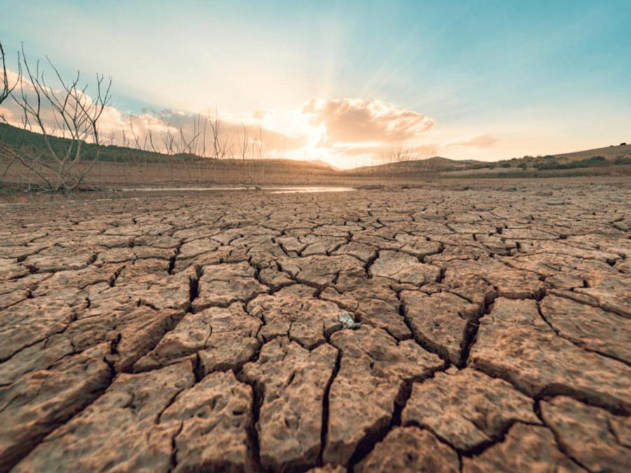 COP16 à Riyad : Un tournant historique pour la lutte contre la désertification et la dégradation des terres