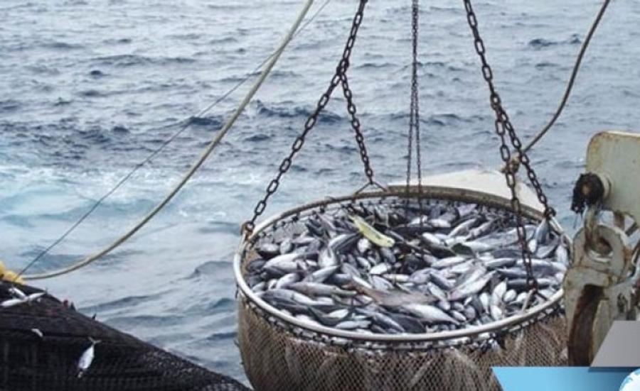 L’Union Européenne suspend son accord de pêche avec le Sénégal 
