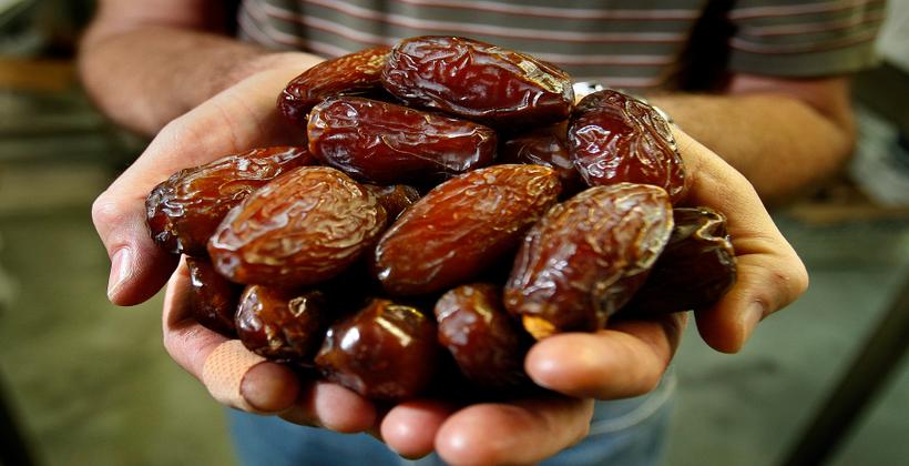 المغرب يسجل رقما قياسيا في واردات التمور المصرية