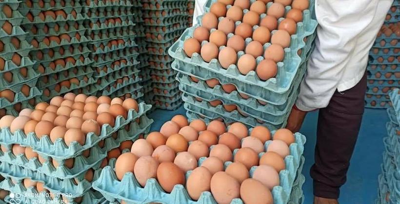 مهنيون يفسرون أسباب ارتفاع أسعار البيض