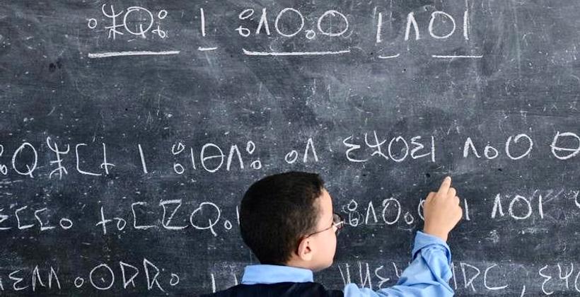 الحكومة..نسبة تدريس اللغة الأمازيغية بلغت 31% والهدف تحقيق 50%