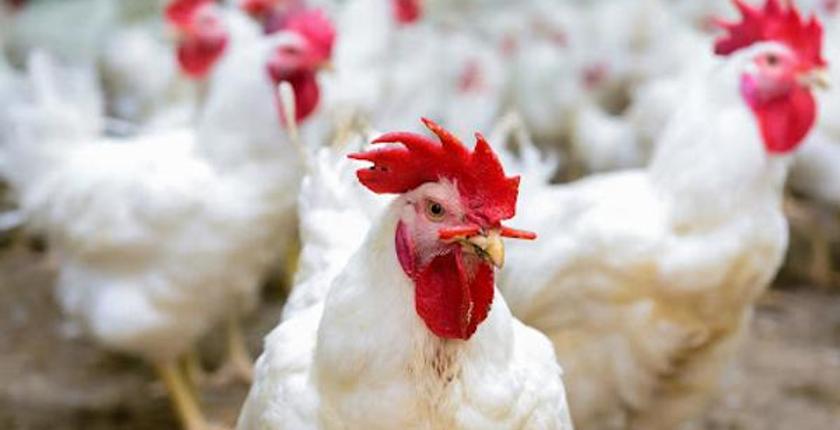 ⵢⵉⵡⴻⵏ ⵏ ⵓⵎⴻⵊⵊⴰⵢ ⵢⴻⵙⵙⴻⴼⵀⴻⵎⴷ ⵙⵙⴻⴱⴱⴰⵜ ⵏ ⵓⵖⴻⵍⵍⵓⵢ ⵏ ⵙⵙⵓⵎⴰ ⵏ ⵢⵉⵍⴻⴼ
