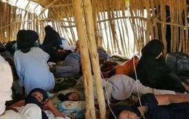 Epidemic Crisis: Malaria and Diphtheria Surge in Southeastern Algeria