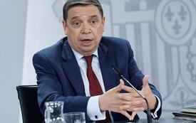 Fortaleciendo Vínculos: El Compromiso de España con Relaciones Estables con Marruecos