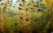 Canadians Shine at Wildlife Photographer of the Year Awards