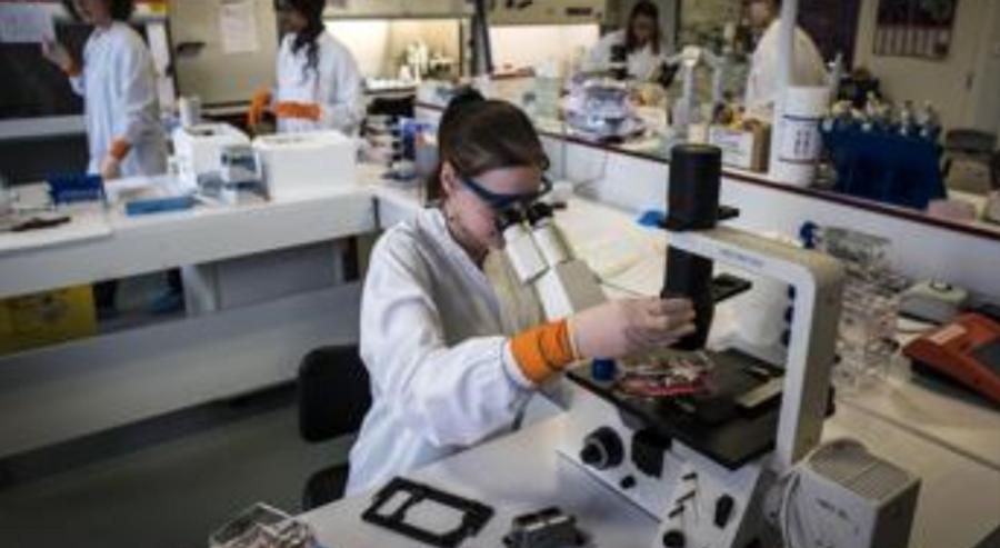 Hit mondiale degli scienziati in medicina, chi sono gli italiani al top