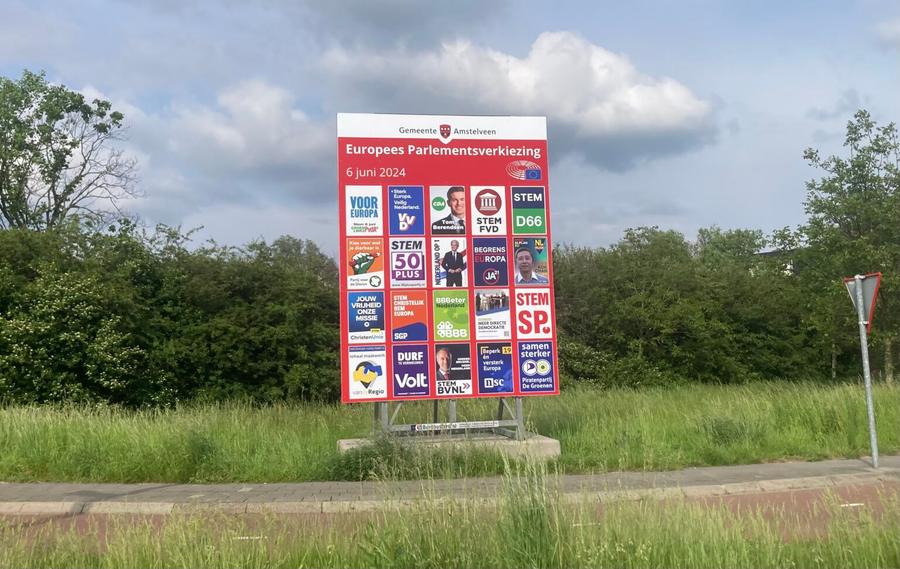 Nederland heeft dus 31 van de 720 Europarlementariërs. Hoe werkt dat?