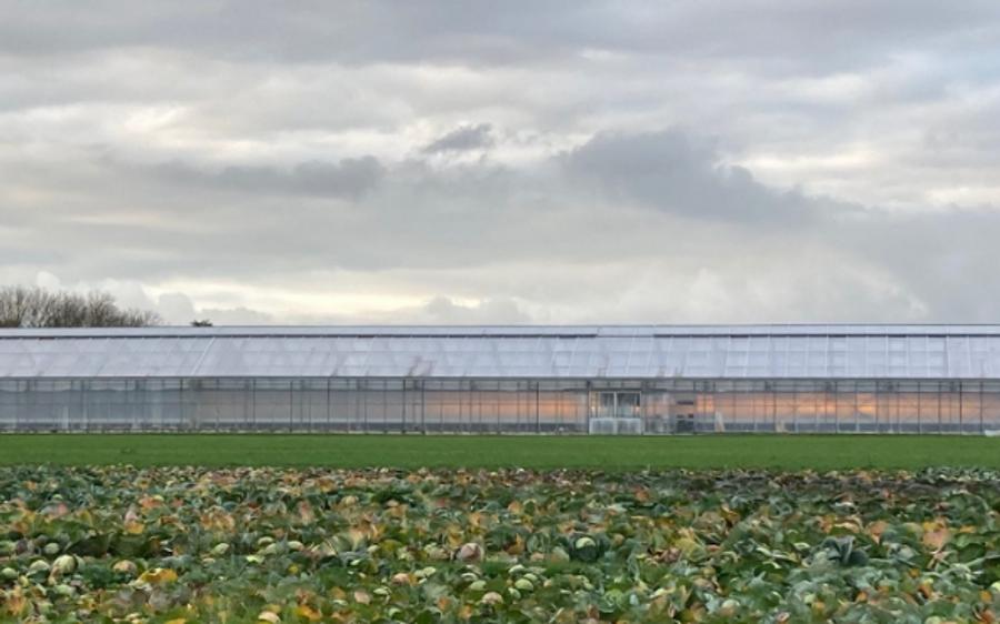 Hoofdinspecteur hekelt opnieuw de uitbuiting van buitenlandse werknemers