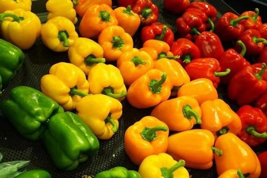 Марокко второй по величине поставщик перца на европейские рынки