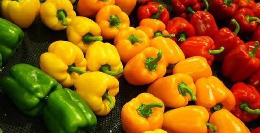 Марокко второй по величине поставщик перца на европейские рынки