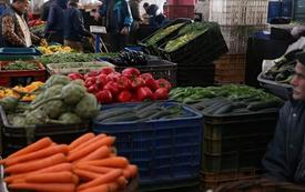 El Gobierno Marroquí Desvela Estrategia para Optimizar la Cadena de Suministro Agrícola 