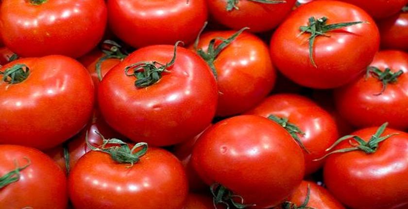 Il Marocco stabilisce un valore record per le esportazioni di pomodori