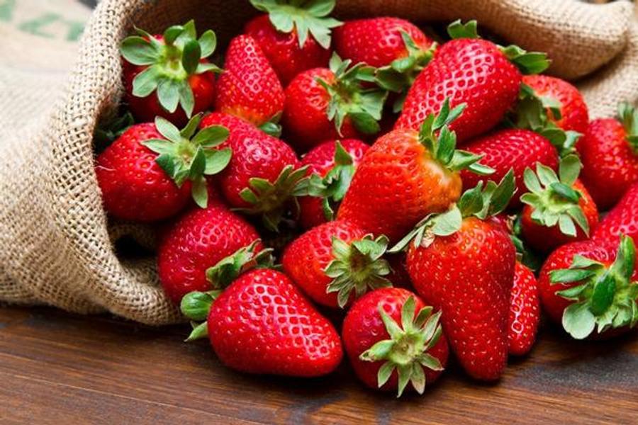 مراکش جایگاه 10 جهان را در تولید توت فرنگی دارد